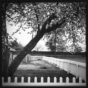 24th Feb 2020 - White Picket Fences | Black & White
