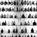 Davidson-Gerson Gallery of Glass | Black & White by yogiw