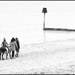 0224 - A walk on the beach by bob65