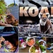  Koala Rescue ~ by happysnaps