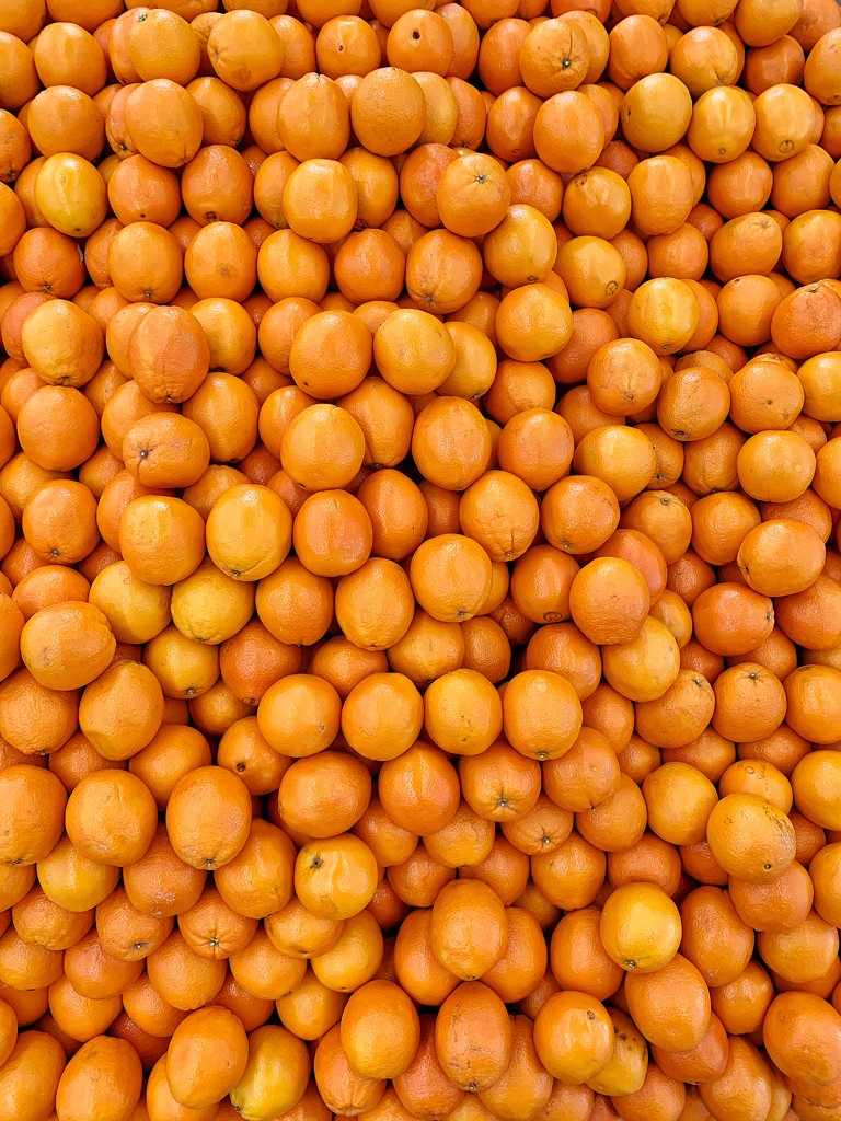 Orange oranges.  by cocobella