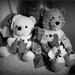 Christmas Bears by judithdeacon