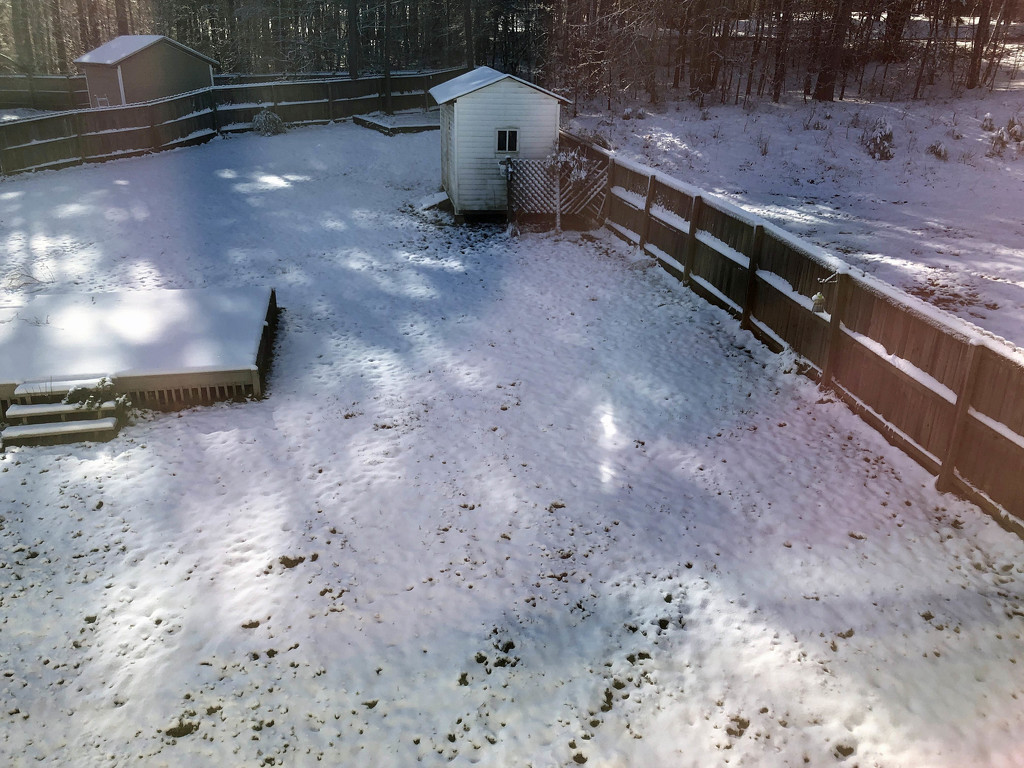 Sun-dappled snow by homeschoolmom