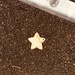 Another fallen star by denidouble