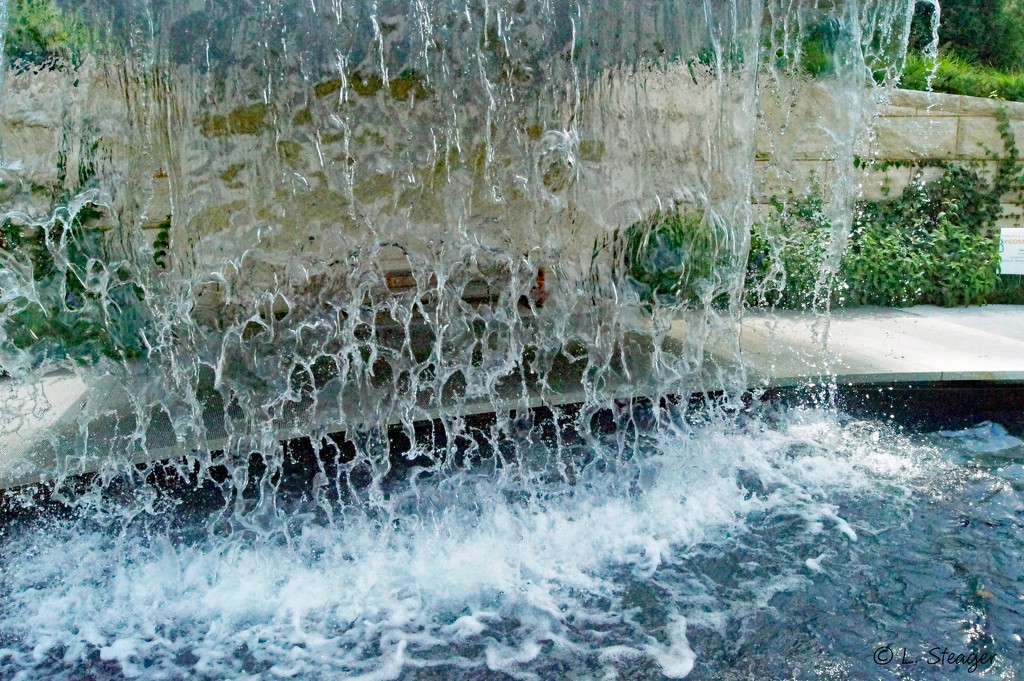 Waterfall at botanical garden by larrysphotos