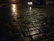 25th Feb 2020 - Follow the wet brick road. 