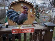 25th Feb 2020 - The Willoughby Weather Rooster
