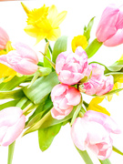 26th Feb 2020 - High Key Spring Bouquet