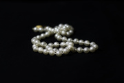 26th Feb 2020 - Pearls
