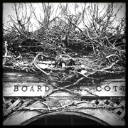 26th Feb 2020 - The Boardwalk Cottage | Black & White