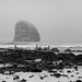 Olympic National Park by tosee