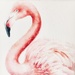 The Hobby Lobby Flamingo by louannwarren