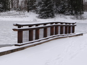 28th Feb 2020 - Bridge at the Arboretum