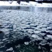 Ледяные чаши из пены (не-)морской  by natalytry
