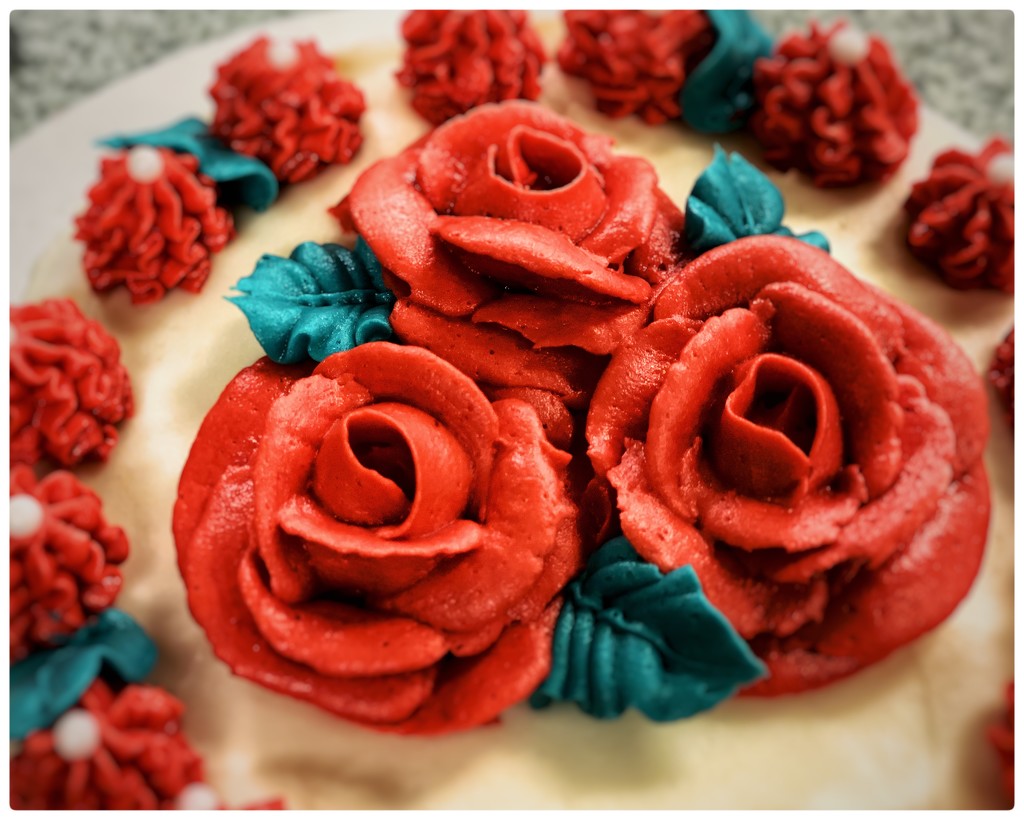 Rose cake by jeffjones