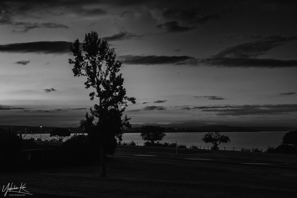 Lake Taupo View by yorkshirekiwi