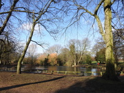 21st Feb 2020 - Vernon Park Pond