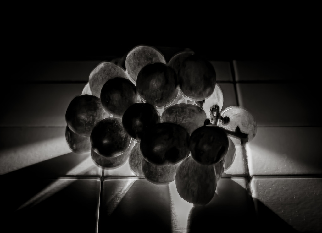 Low Key:  Kitchen Counter Grapes by vignouse