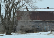 15th Feb 2020 - Old Tree, Old Barn