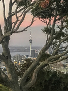 1st Oct 2019 - Auckland Sky Tower