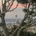 Auckland Sky Tower by creative_shots