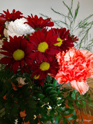 28th Feb 2020 - Bouquet of daises and carnations