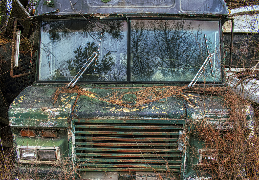 Green Junkyard Bus by k9photo