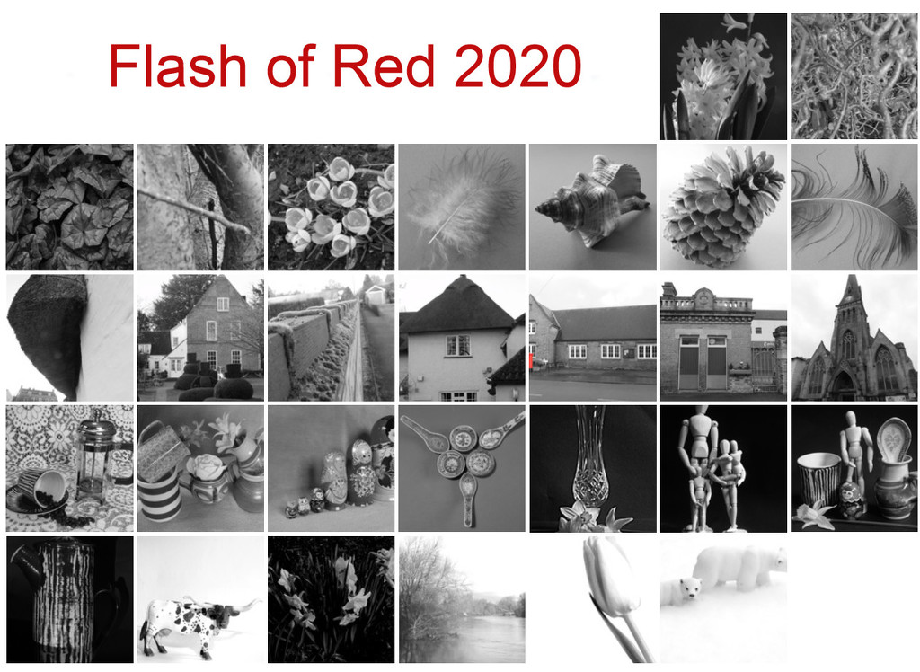 Hooray, I did it! Flash of Red calender view by 365anne