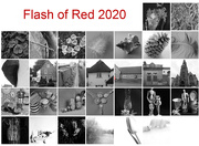 1st Mar 2020 - Hooray, I did it! Flash of Red calender view