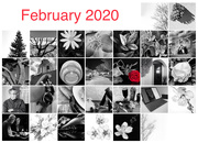 29th Feb 2020 - FOR Month