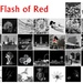 Flash of Red 2020 by merrelyn