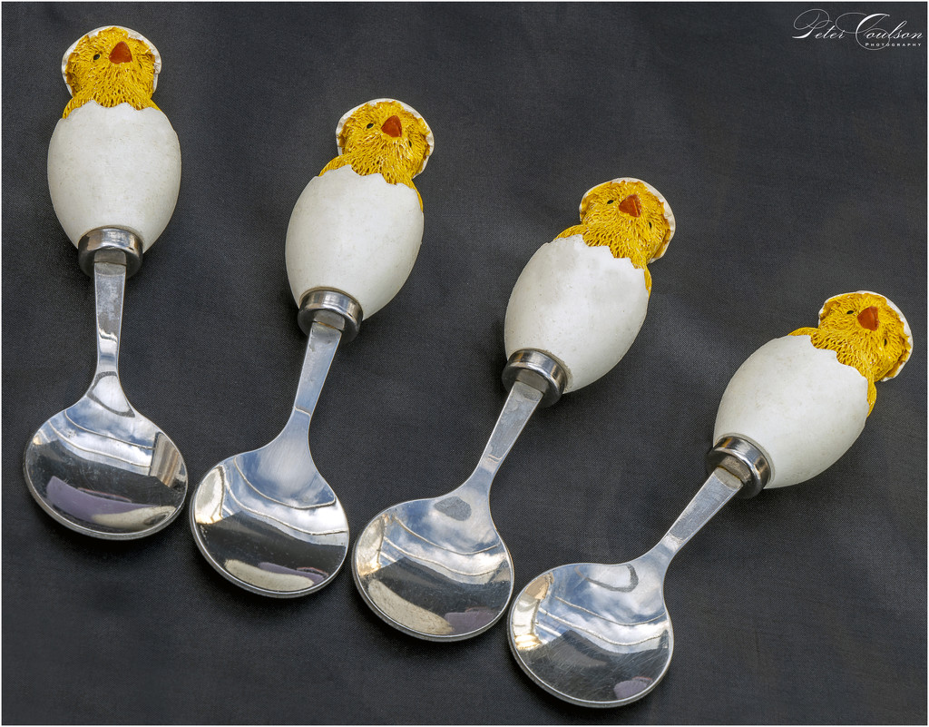 Spoons for Eggs by pcoulson