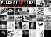 1st Mar 2020 - Flash of red 2020
