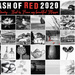 Flash of red 2020 by yorkshirekiwi