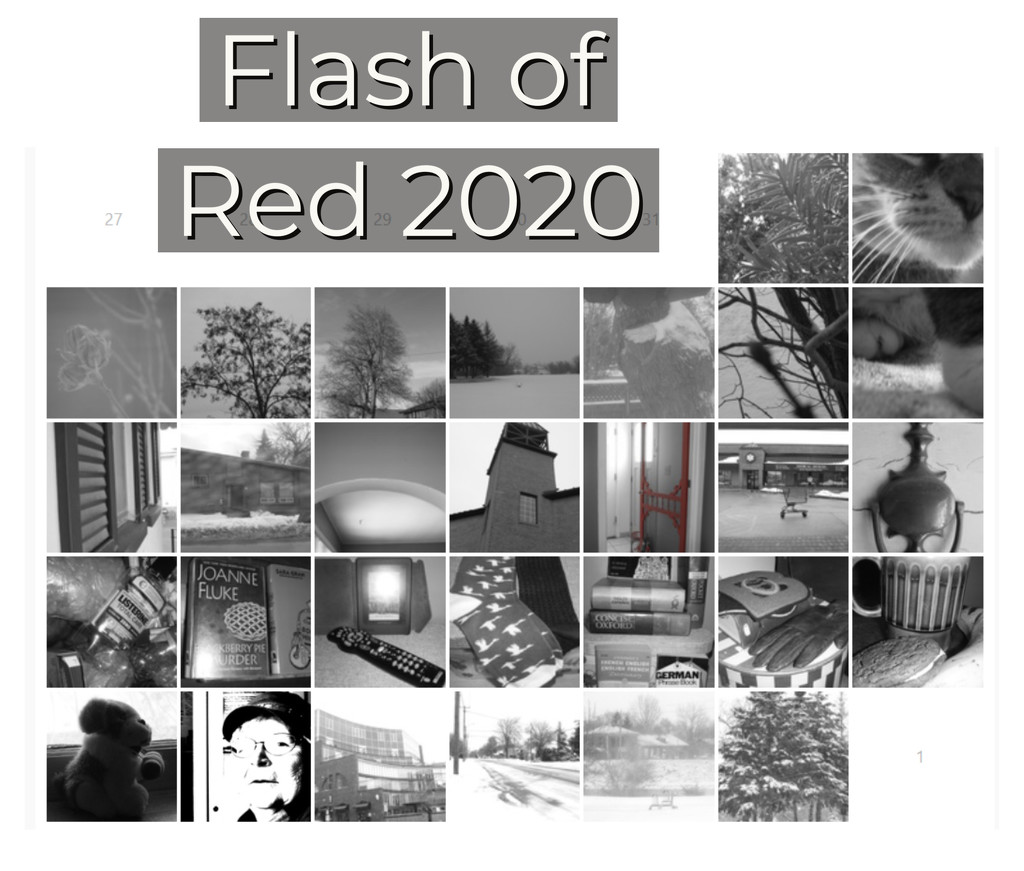 Flash of Red 2020 by spanishliz