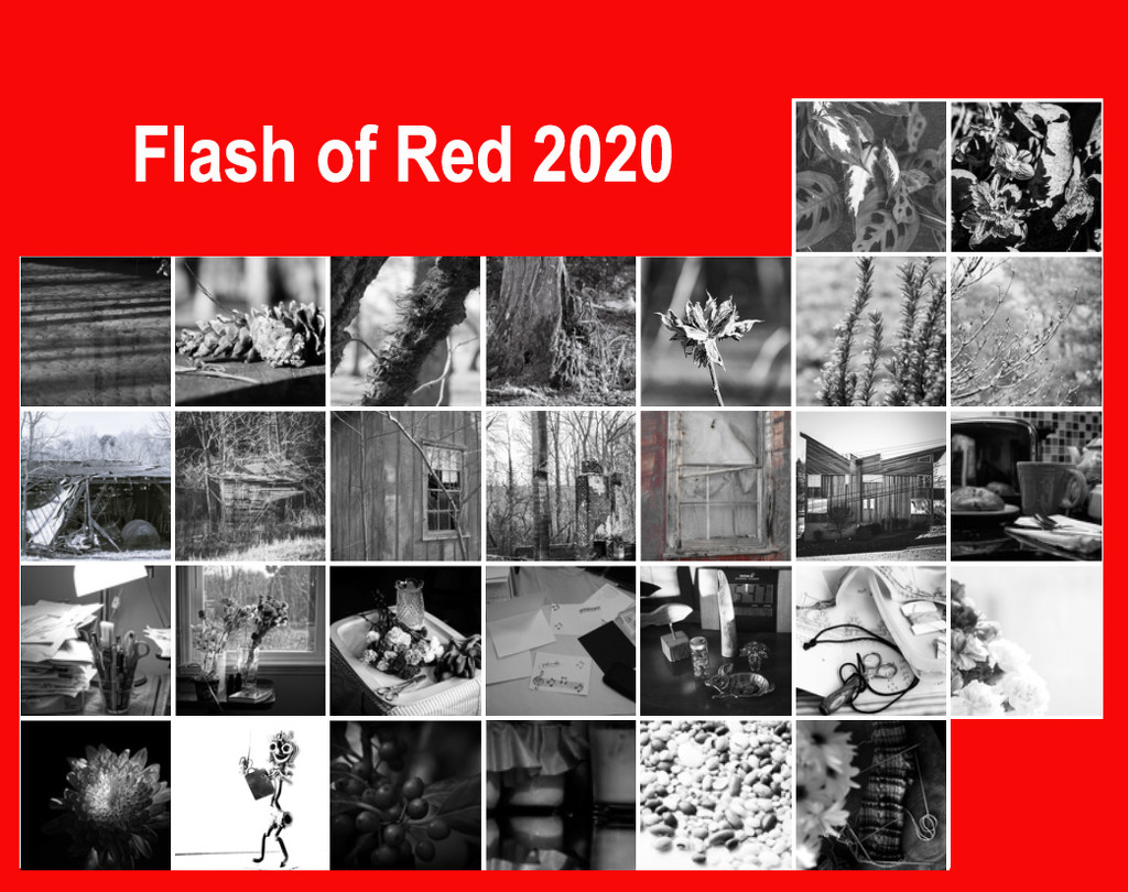 Flash of Red 2020 calendar by randystreat