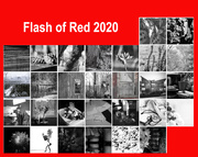 29th Feb 2020 - Flash of Red 2020 calendar