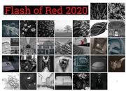 29th Feb 2020 - Flash of Red 2020