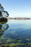 2nd Mar 2020 - Lake Waikare #6