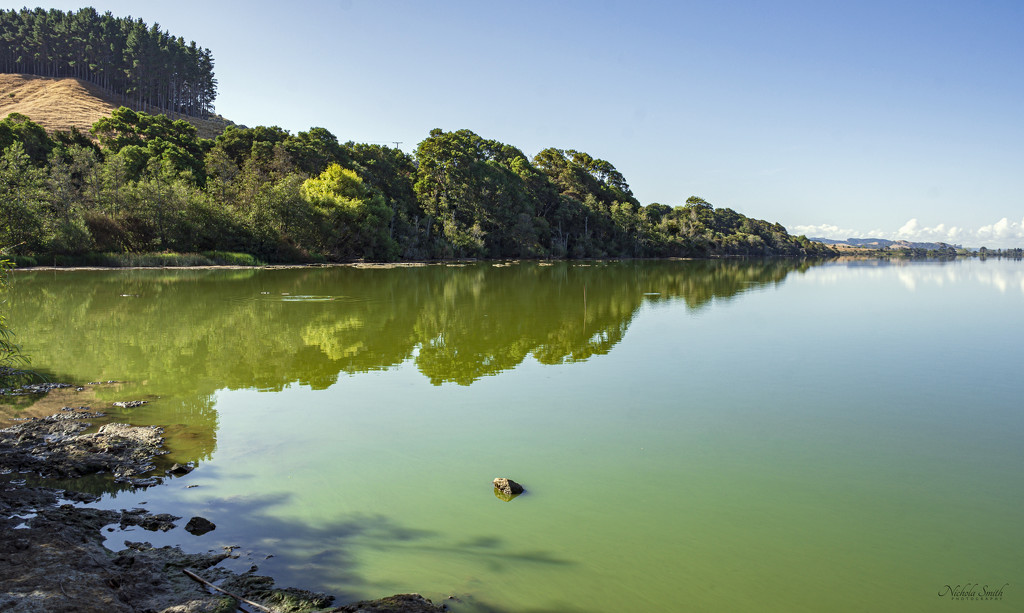 Lake Waikare #5 by nickspicsnz