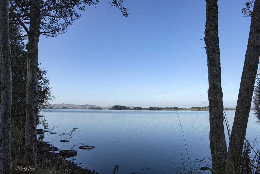Lake Waikare #4 by nickspicsnz
