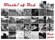 29th Feb 2020 - month of red