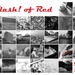 month of red by anniesue