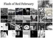 29th Feb 2020 - Flash of Red February 2020
