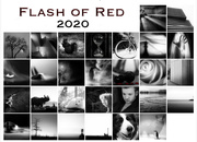 29th Feb 2020 - flash of red 2020