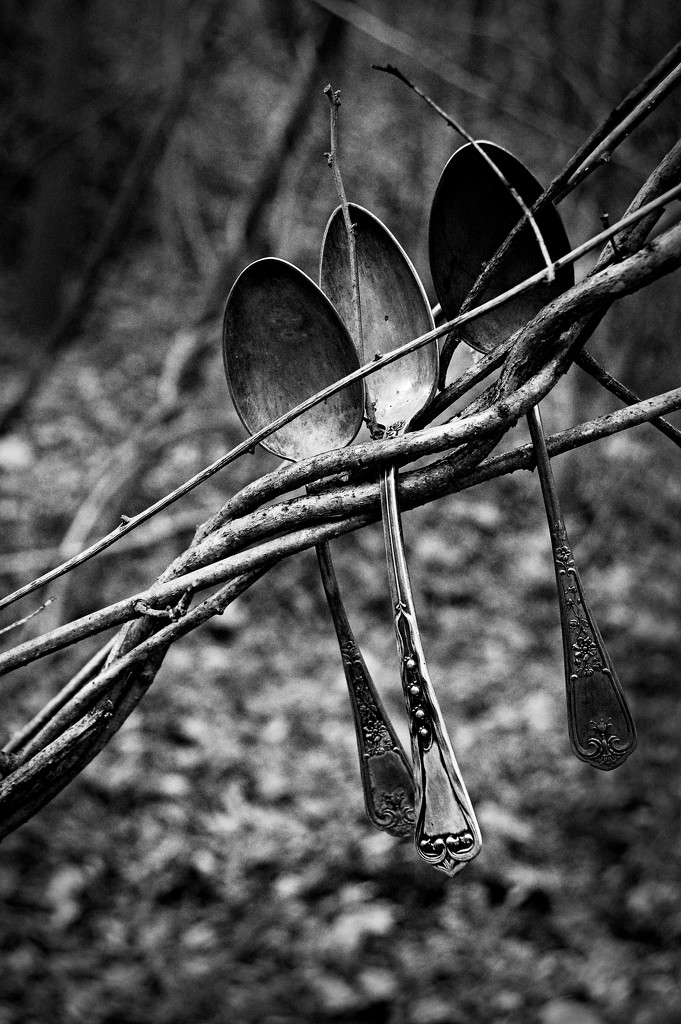 spoons by francoise