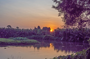 1st Mar 2020 - Sunrise Sungai Perai