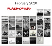 31st Jan 2020 - Flash of Red 2020 ...  The Month ..