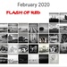 Flash of Red 2020 ...  The Month .. by julzmaioro