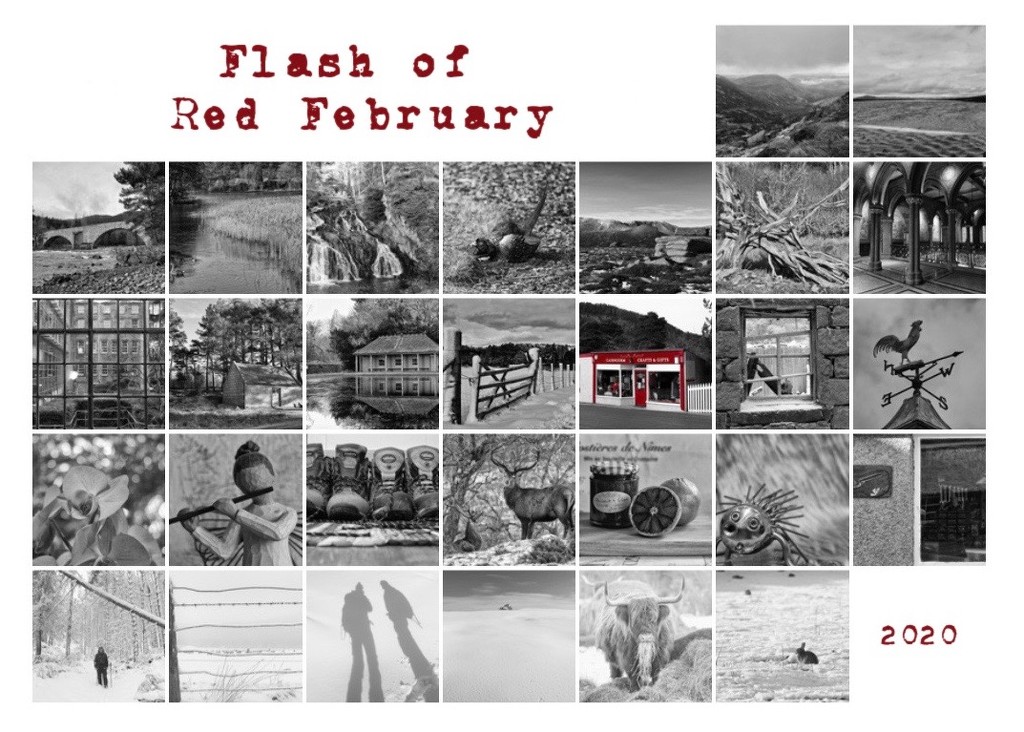 Flash of Red February by jamibann
